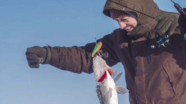 Blue Orange and Red Fish Decide the Bonus in an Arctic Game Show